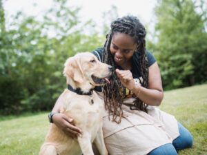 3 Tips To Have An Easy-To-Train Golden Retriever